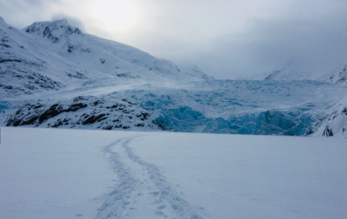 A snowy landscape with a glacier in the background and a trail of footprints leading towards it.