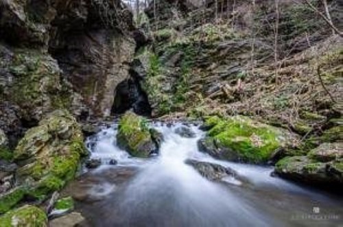 A serene stream flows through a rocky gorge, surrounded by moss-covered stones and lush greenery.