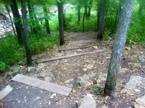 Wooden steps descend through a wooded area, surrounded by trees and rocky terrain.