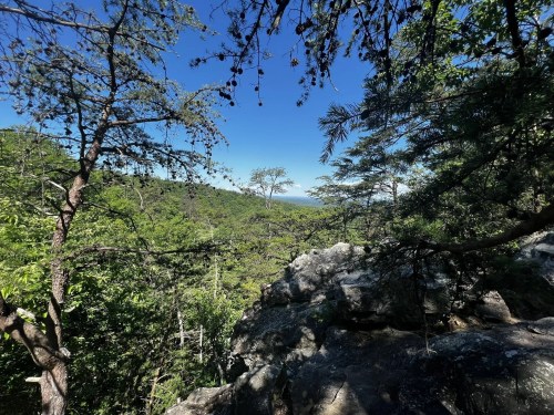 A scenic view of lush green trees and distant mountains under a clear blue sky, framed by rocky outcrops.