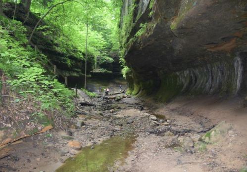 A narrow canyon with lush green foliage, a dry streambed, and two people exploring the rocky terrain.