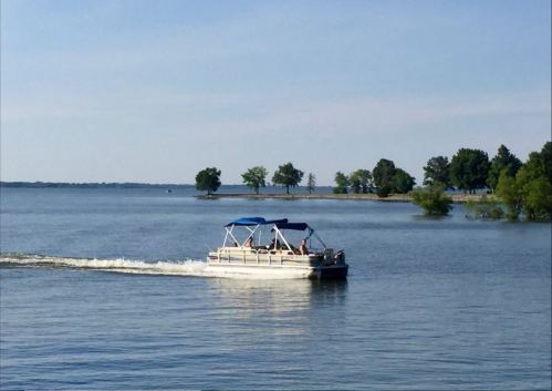 A pontoon boat with a blue canopy glides across a calm lake, surrounded by trees and clear blue skies.