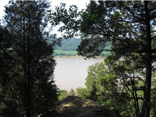 A serene view of a river framed by lush green trees and hills in the background on a sunny day.