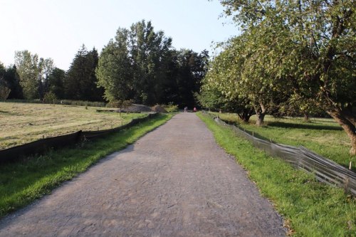 A gravel path leads through a grassy area, flanked by trees, under a clear sky.