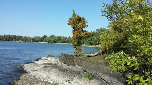 A serene lakeside scene with rocky shorelines, green trees, and a clear blue sky.