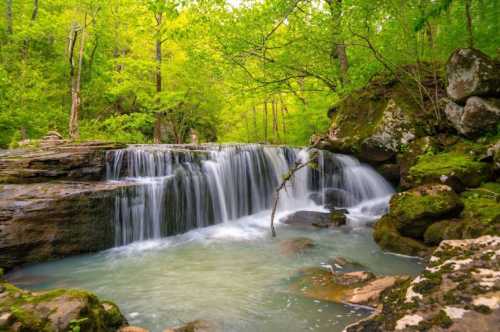 A serene waterfall cascades over rocks into a clear pool, surrounded by lush green trees and vibrant foliage.