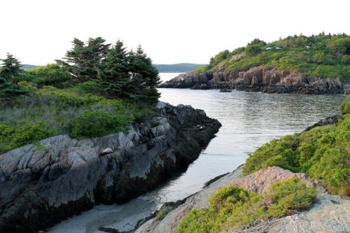 A serene coastal scene featuring rocky shores, lush greenery, and calm waters under a clear sky.
