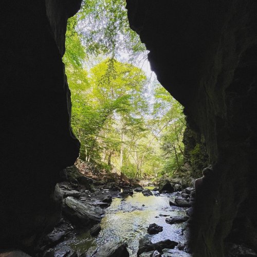 View from a cave opening, revealing a lush green forest and a serene stream flowing through rocky terrain.