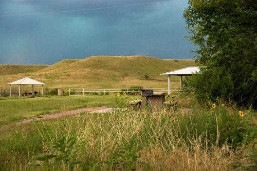 A grassy landscape with picnic shelters, a grill, and sunflowers under a stormy sky.