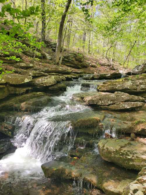 A serene waterfall cascades over moss-covered rocks, surrounded by lush green trees in a peaceful forest setting.