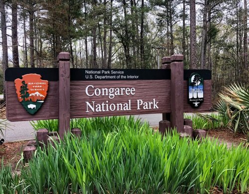 Sign for Congaree National Park, featuring the National Park Service logo and surrounded by greenery.