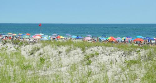 A crowded beach with colorful umbrellas, sand dunes, and a red flag waving near the ocean under a clear blue sky.