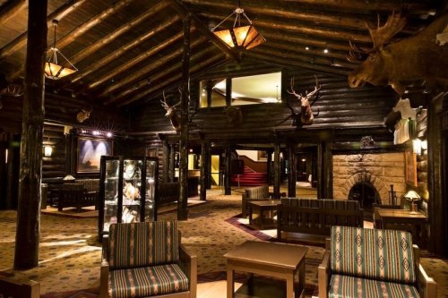 Cozy lodge interior with wooden beams, rustic furniture, and mounted animal heads on the walls. Warm, inviting atmosphere.