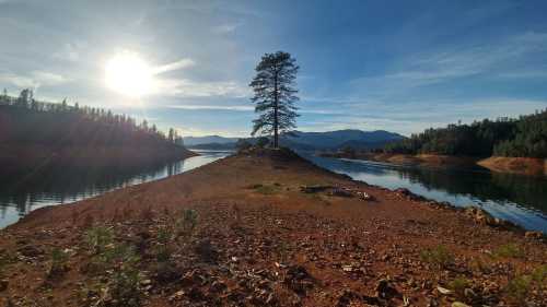 A solitary tree stands on a small island surrounded by calm water, with mountains and a bright sun in the background.