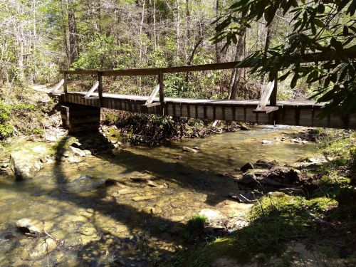 A wooden bridge spans a clear stream, surrounded by lush greenery and trees in a peaceful natural setting.