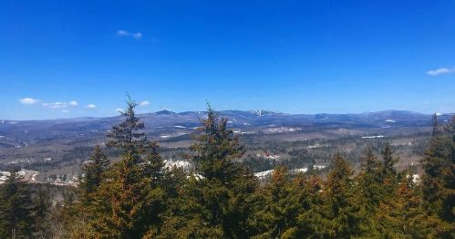 A panoramic view of mountains and valleys under a clear blue sky, with evergreen trees in the foreground.