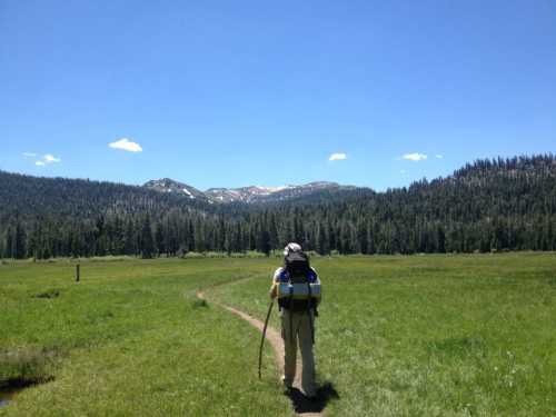 A hiker walks along a grassy path, surrounded by trees and mountains under a clear blue sky.