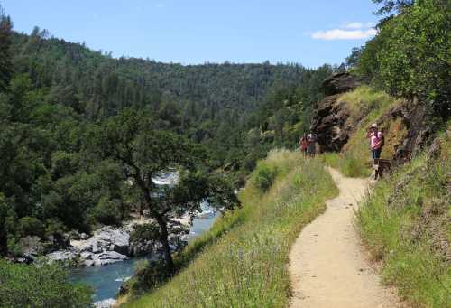 A scenic hiking trail alongside a river, surrounded by lush greenery and hills under a clear blue sky.