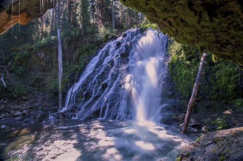 A serene waterfall cascades over rocks, surrounded by lush greenery and trees in a tranquil forest setting.
