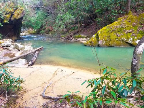 A serene river flows through a lush forest, with moss-covered rocks and sandy banks surrounded by greenery.