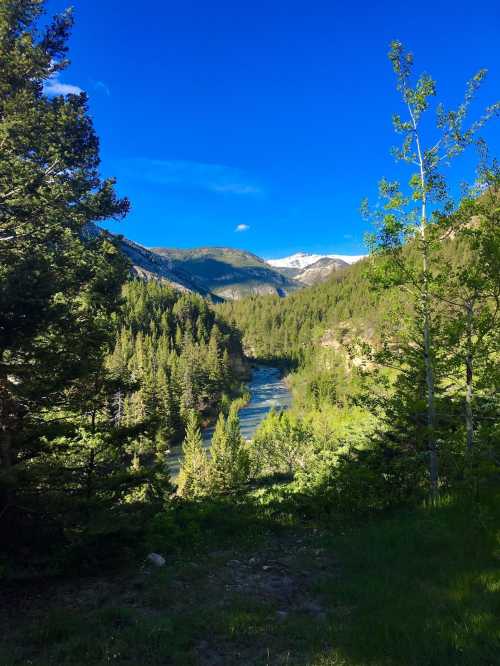 A scenic view of a river winding through lush green trees and mountains under a clear blue sky.