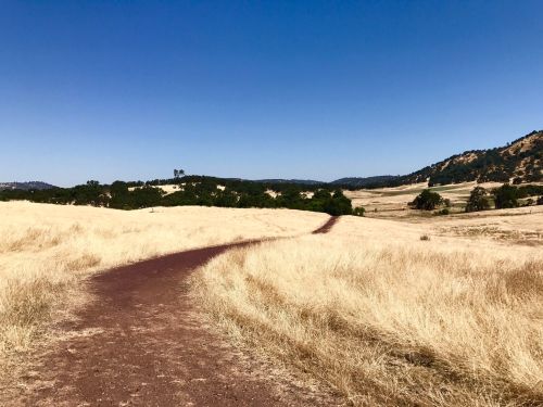 A winding dirt path through golden grasslands under a clear blue sky, surrounded by distant hills and trees.
