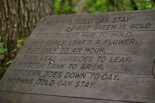 A wooden sign in a forest displays a poem about nature and the fleeting beauty of life.