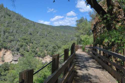 A wooden walkway winds through lush greenery, with hills and a blue sky in the background.