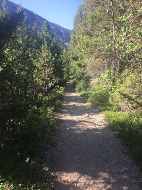 A narrow dirt path winds through lush greenery and trees, leading into a mountainous area under a clear blue sky.