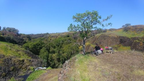 A scenic view of a green landscape with a tree, two people sitting on the edge of a cliff, and a clear blue sky.