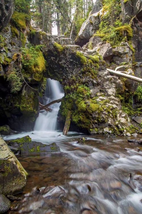 A serene waterfall cascades through a moss-covered stone arch, surrounded by lush greenery and rocky terrain.