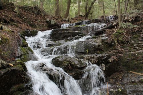 A serene waterfall cascades over rocky terrain, surrounded by lush green trees and forest foliage.