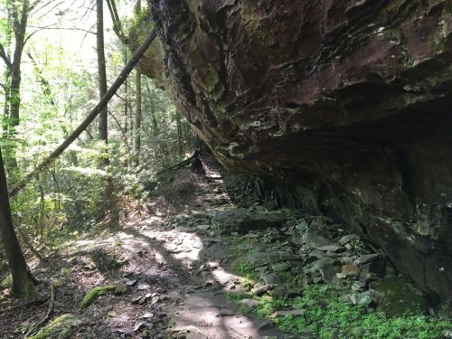 A rocky path beneath a large overhanging cliff, surrounded by lush green trees and foliage.