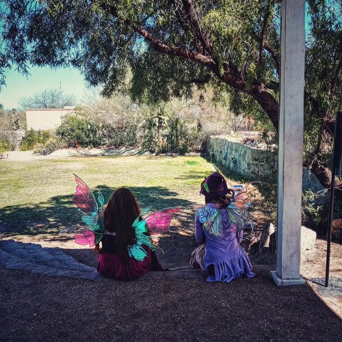 Two children with colorful fairy wings sit on a stone ledge, looking out at a grassy area under a sunny sky.