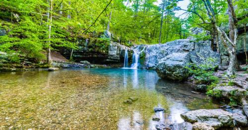 A serene forest scene featuring a waterfall cascading into a clear pool surrounded by lush greenery and rocky terrain.