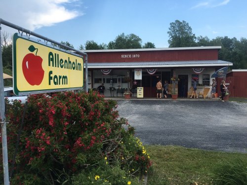 A farm store with a sign reading "Allenholm Farm" and red flowers in front, set against a blue sky.