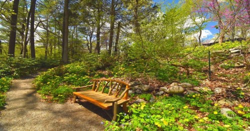 A wooden bench sits along a gravel path surrounded by lush greenery and blooming flowers in a serene garden setting.