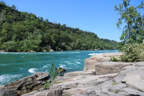 A serene river flows past rocky banks, surrounded by lush green trees under a clear blue sky.