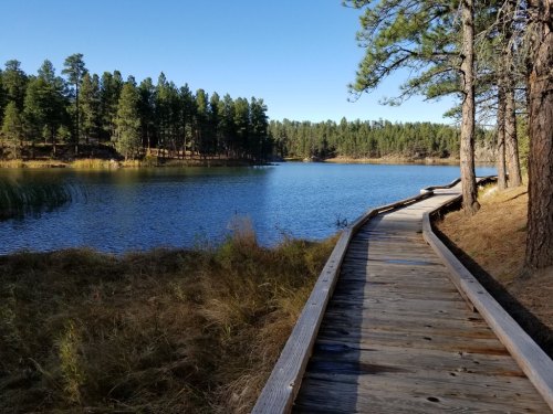 A wooden boardwalk leads through tall grass to a serene lake surrounded by pine trees under a clear blue sky.