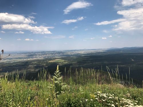 A panoramic view of a lush green landscape under a blue sky with scattered clouds.