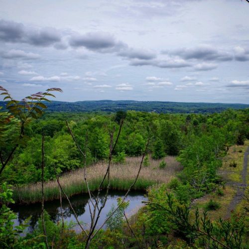 Lush green landscape with a pond, surrounded by trees and rolling hills under a cloudy sky.