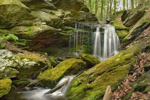 A serene waterfall cascades over moss-covered rocks in a lush, green forest.