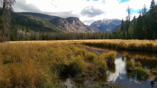 A serene landscape featuring a grassy meadow, a calm stream, and mountains under a cloudy sky.