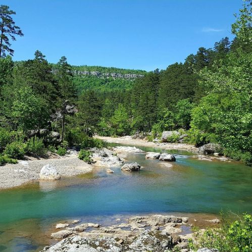 A serene river flows through a lush green landscape, surrounded by trees and rocky banks under a clear blue sky.