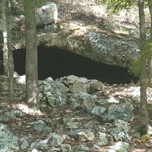A rocky cave entrance surrounded by trees and scattered stones in a forested area.