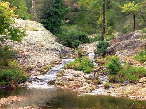 A serene landscape featuring a small stream flowing over rocky terrain, surrounded by lush greenery and trees.