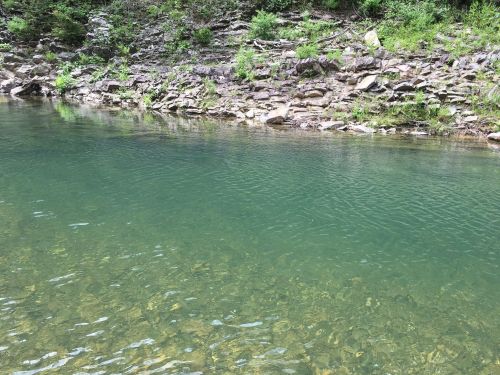 A serene body of clear water beside a rocky shore, surrounded by lush greenery.