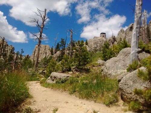 A rocky trail winds through a forested area with tall trees and boulders under a blue sky with fluffy clouds.