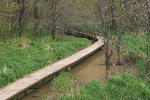 A winding wooden boardwalk through a lush green landscape beside a calm stream.