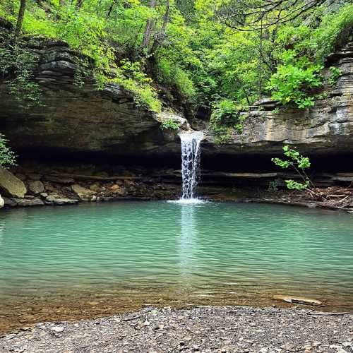 A serene waterfall cascades into a clear turquoise pool, surrounded by lush green foliage and rocky terrain.